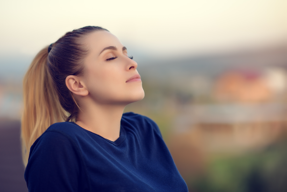 Diary of an Introvert in the Workplace